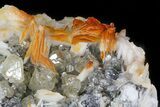 Cerussite Crystals with Bladed Barite on Galena- Morocco #44783-1